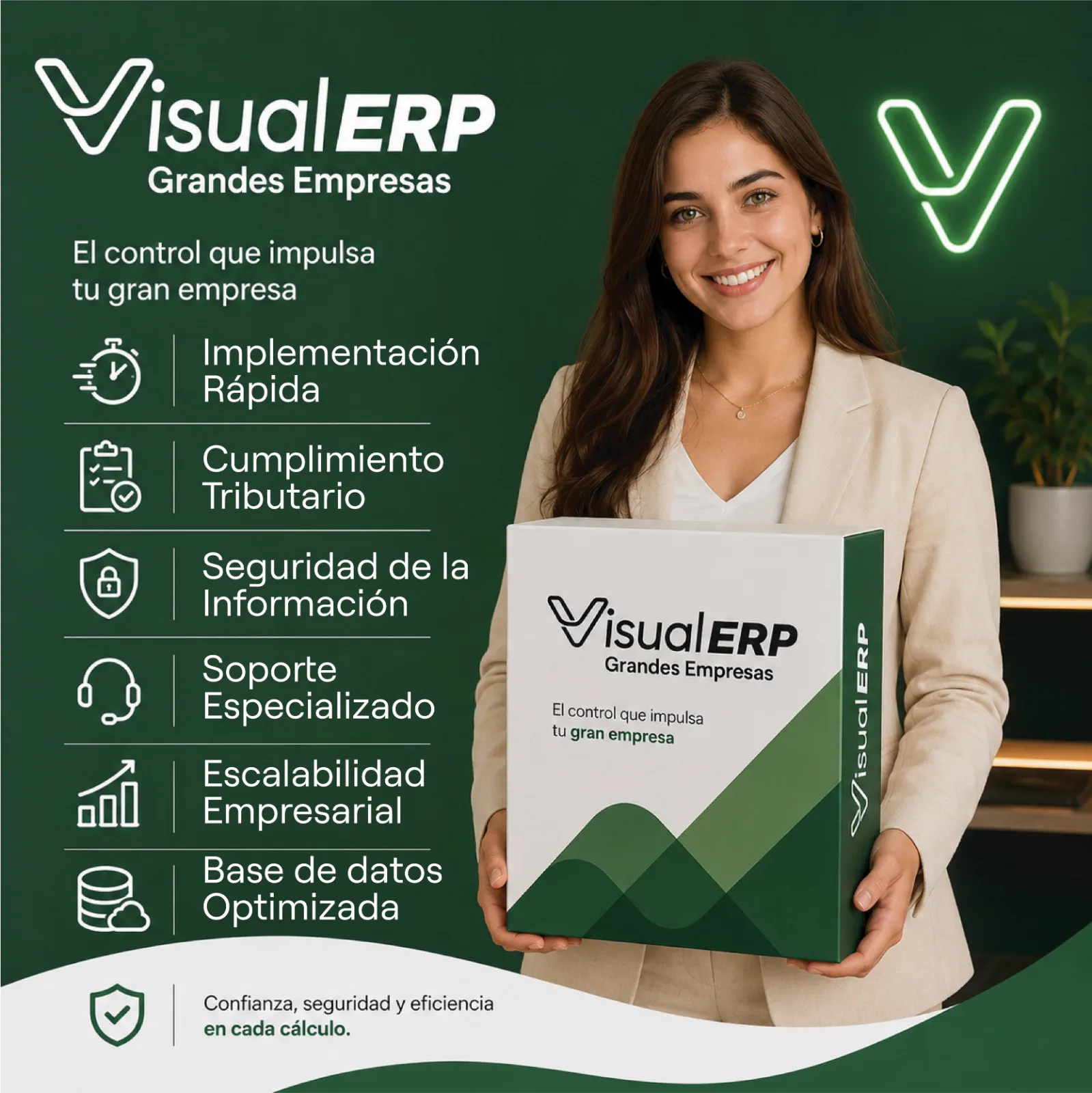 Beneficios del software contable Visual