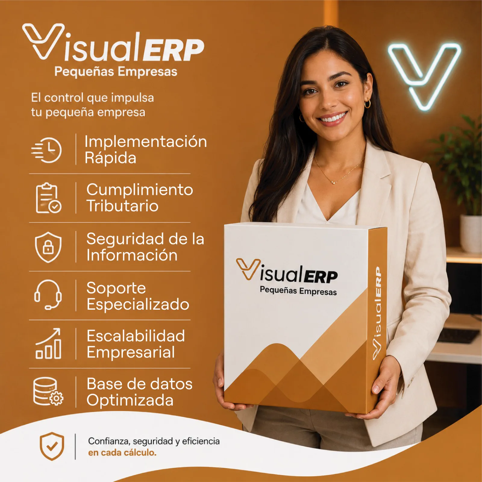 Beneficios del software contable Visual